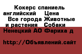 Кокерс спаниель английский  › Цена ­ 4 500 - Все города Животные и растения » Собаки   . Ненецкий АО,Фариха д.